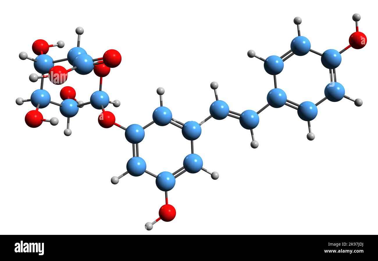 3D image of trans-Resveratrol-3-O-glucuronide skeletal formula - molecular chemical structure of resveratrol  metabolite isolated on white background Stock Photo