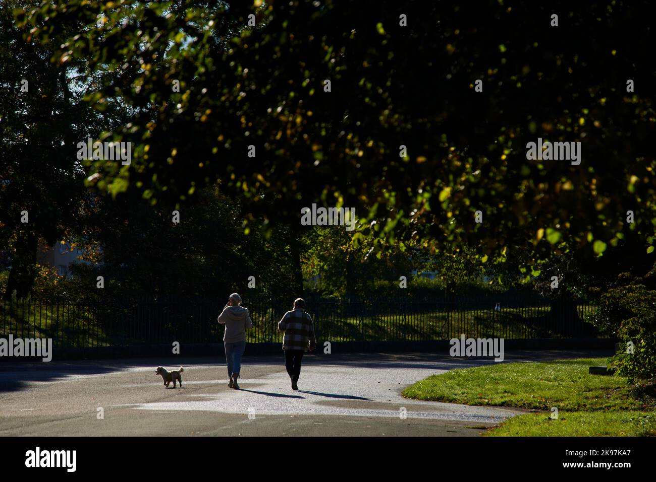 Birkenhead park dog walkers Stock Photo
