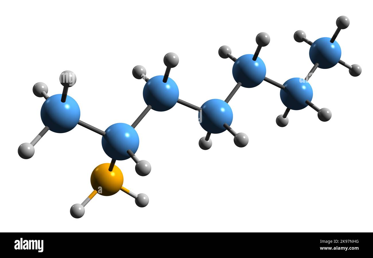 3D image of Tuaminoheptane skeletal formula - molecular chemical structure of sympathomimetic agent  2-aminoheptane isolated on white background Stock Photo
