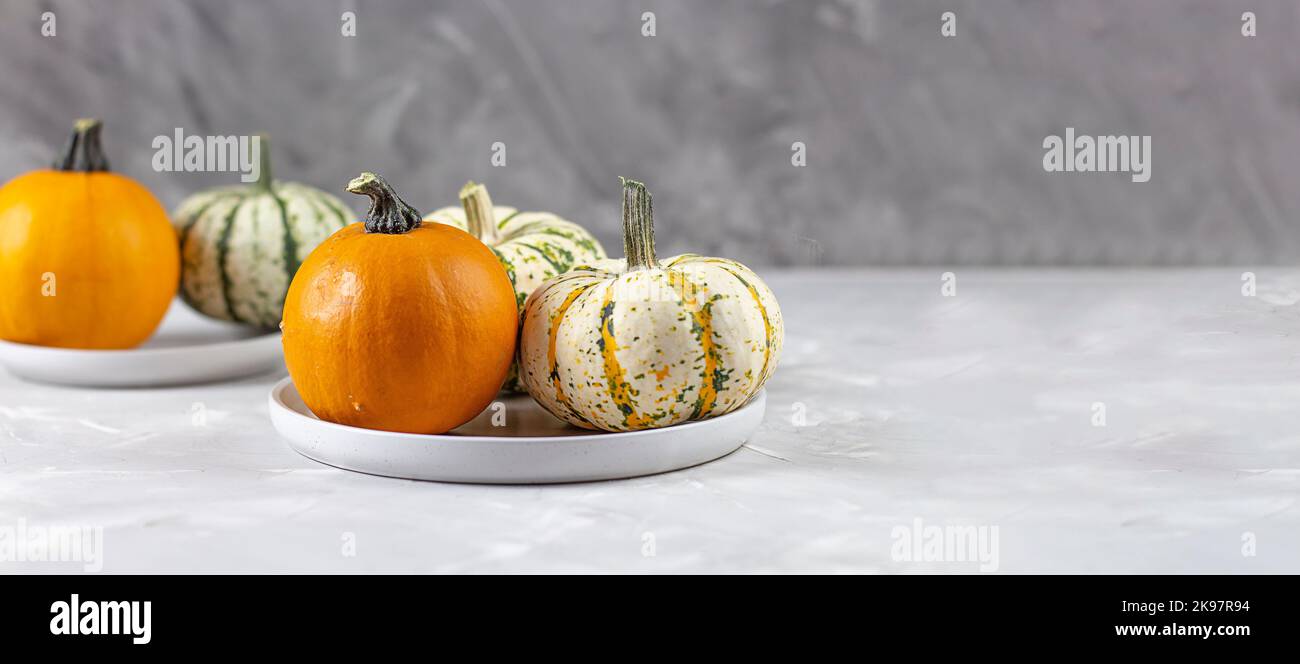 Thanksgiving day on a gray background. Dinner. pumpkins. Banner. copy space Stock Photo