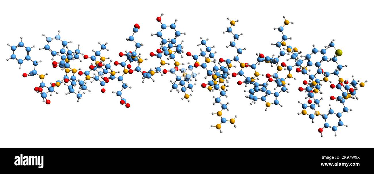 3D image of Adrenocorticotropic hormone skeletal formula - molecular chemical structure of adrenocorticotropin isolated on white background Stock Photo