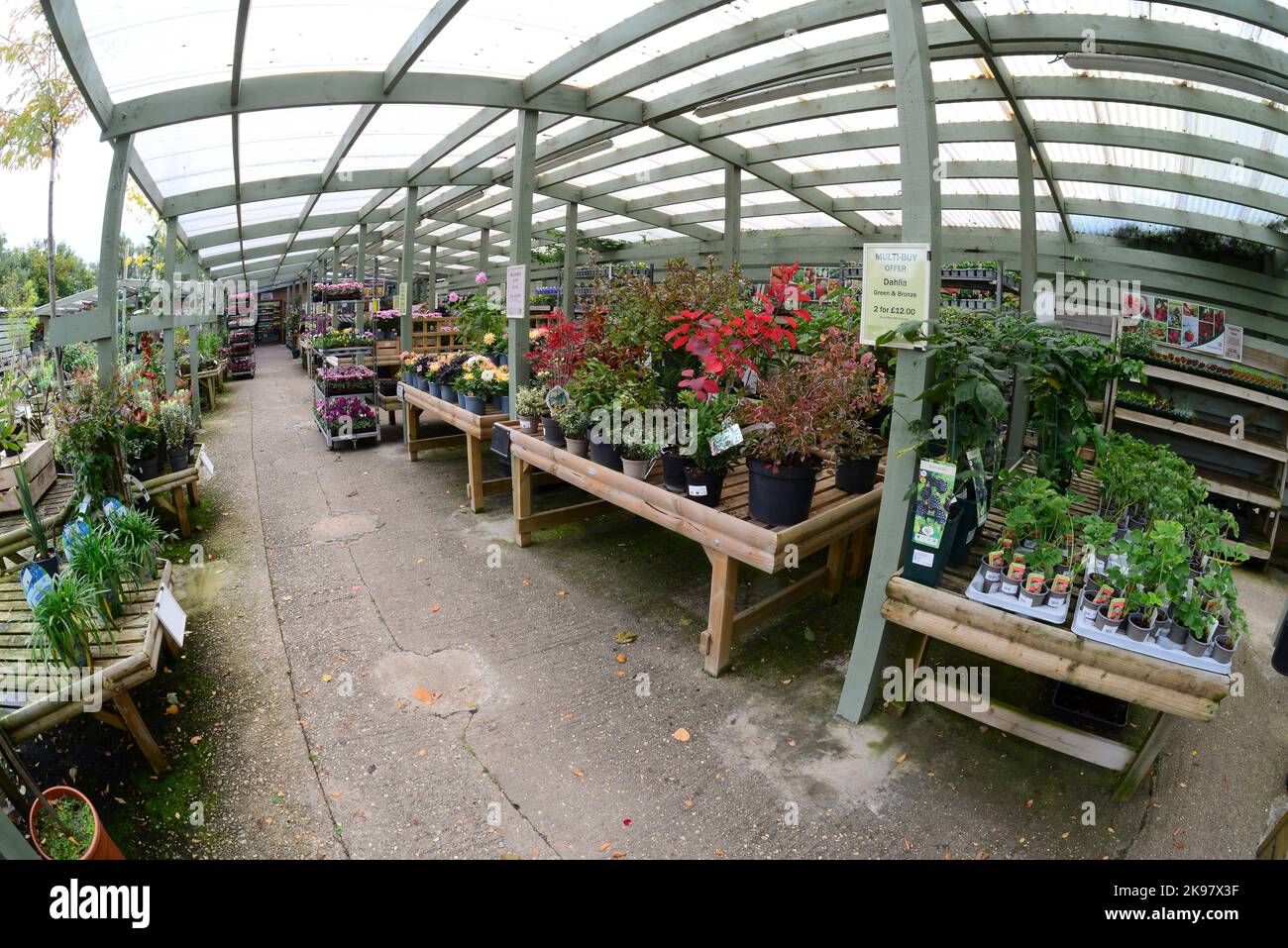 Garden centre plant sales displays Stock Photo Alamy