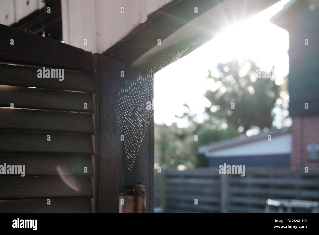 Spider silk in the sunlight, on the wooden gate. Web insect trap Stock ...