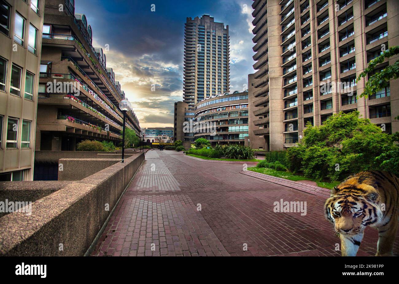 Jungle city hires stock photography and images Alamy