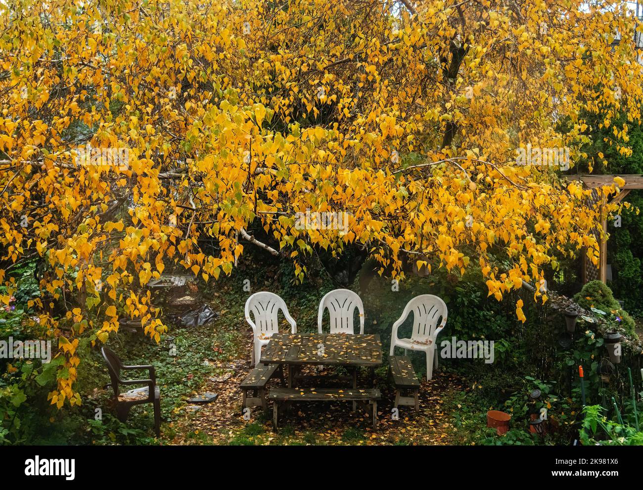 Autumn backyard scenic with picnic table and chairs Stock Photo
