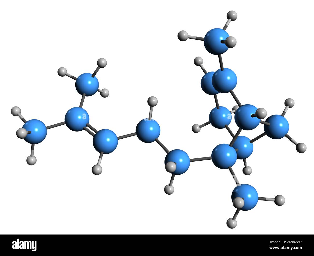3D image of alpha-bergamotene skeletal formula - molecular chemical structure of component of bergamot oil isolated on white background Stock Photo