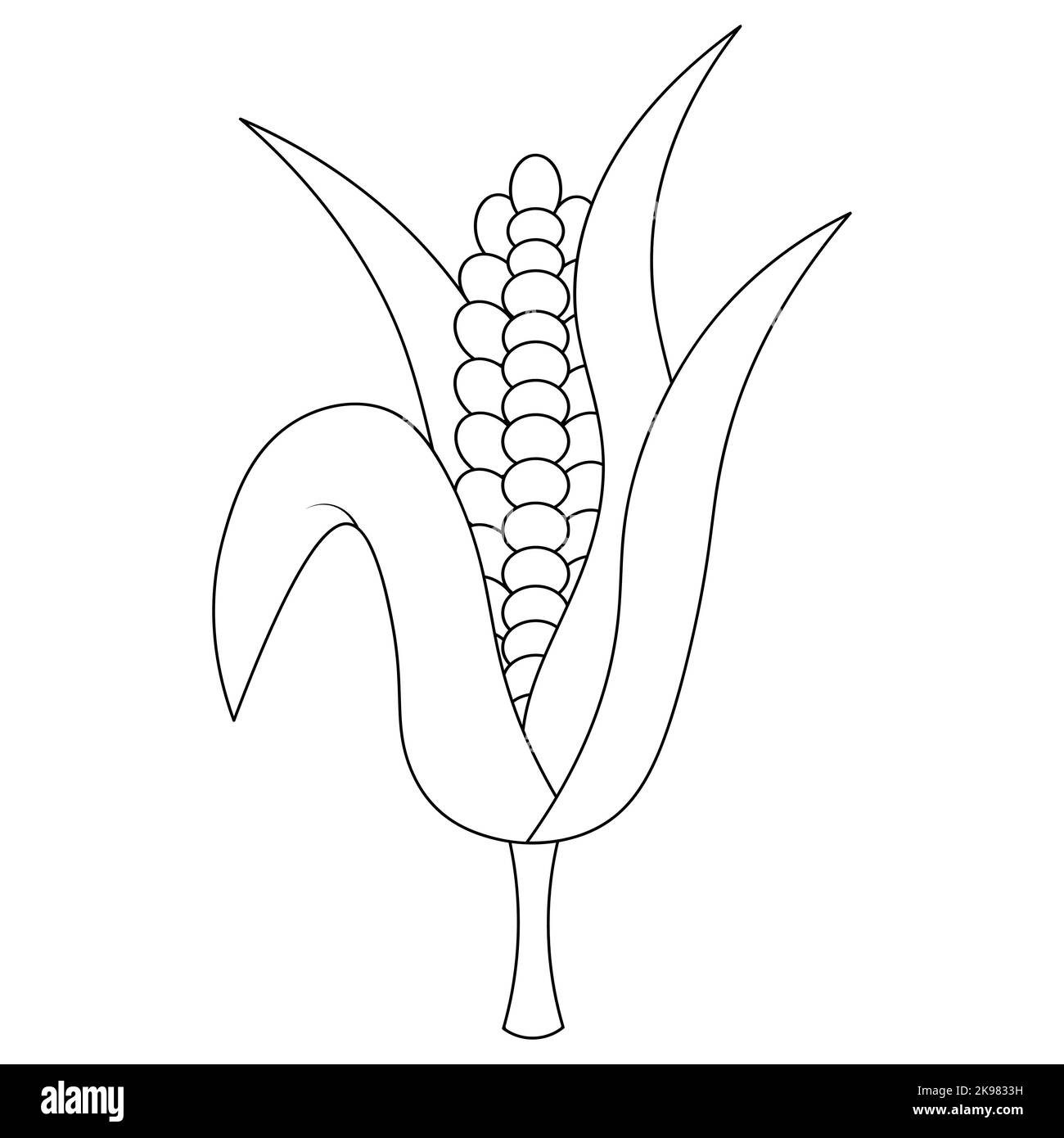 Corn. An ear of corn is wrapped in leaves. Vector illustration. Outline on an isolated white background. Doodle style. Sketch. Juicy grains. Stock Vector