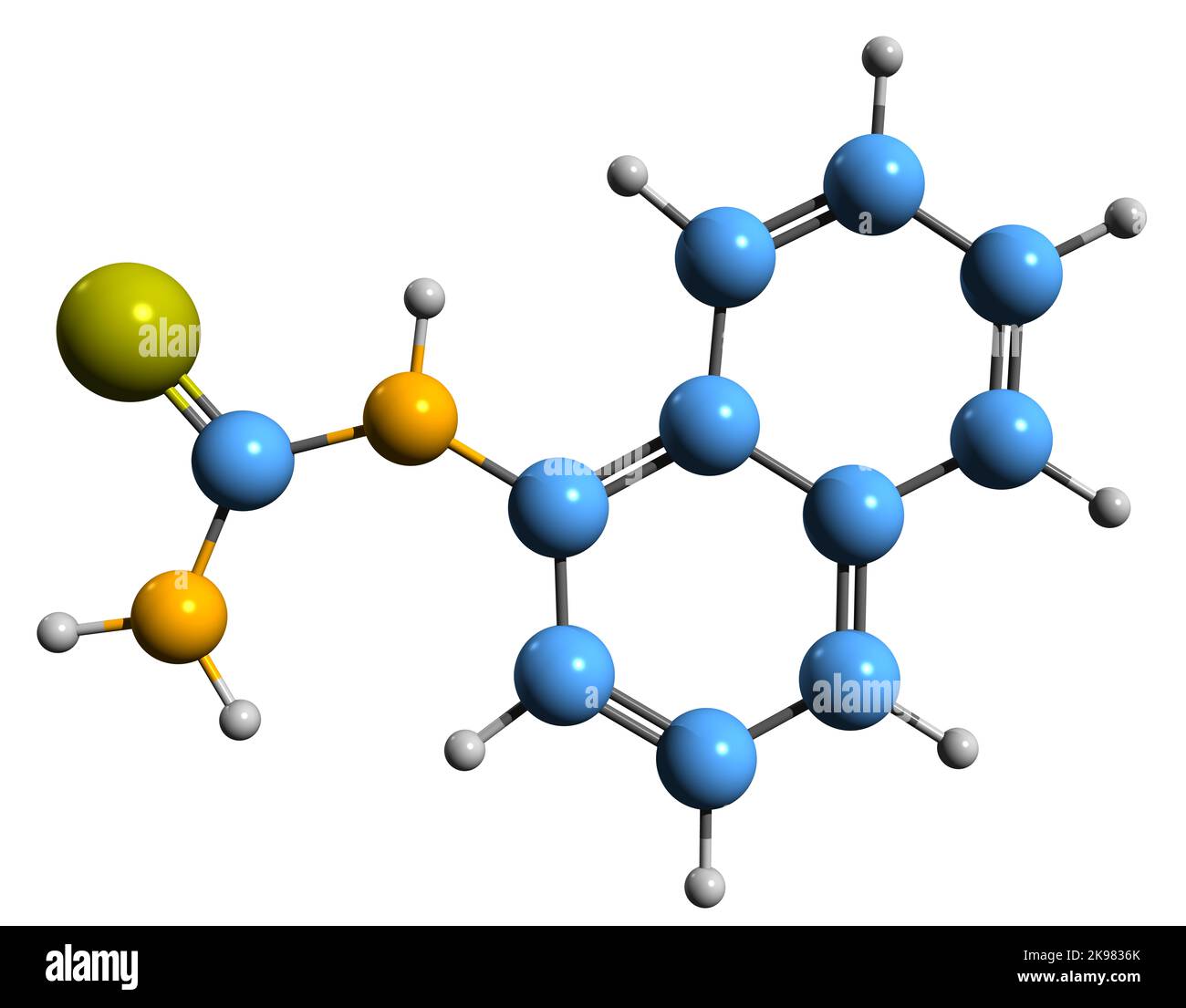 3D image of alpha-Naphthylthiourea skeletal formula - molecular chemical structure of  organosulfur compound isolated on white background Stock Photo