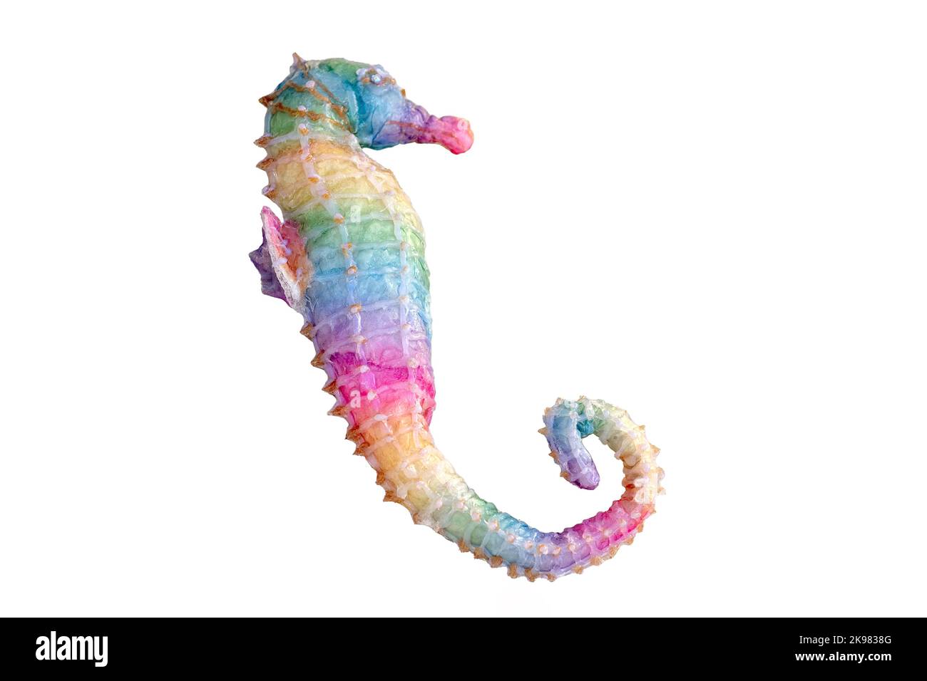 A figurine of a rainbow seahorse,isolated on white background Stock Photo