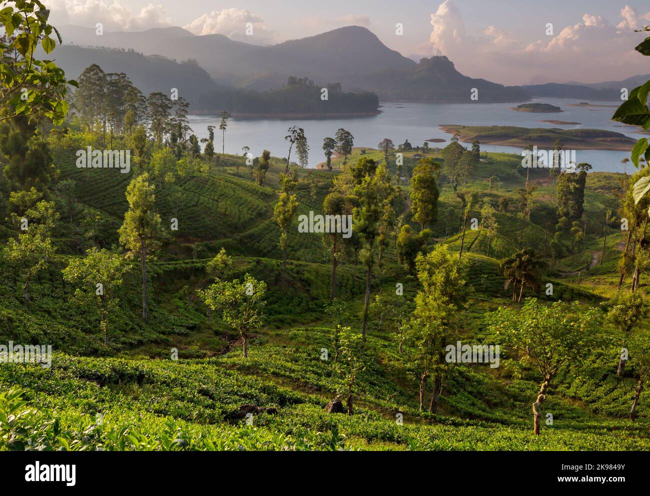 Beautiful natural landscapes in Sri Lanka Stock Photo - Alamy