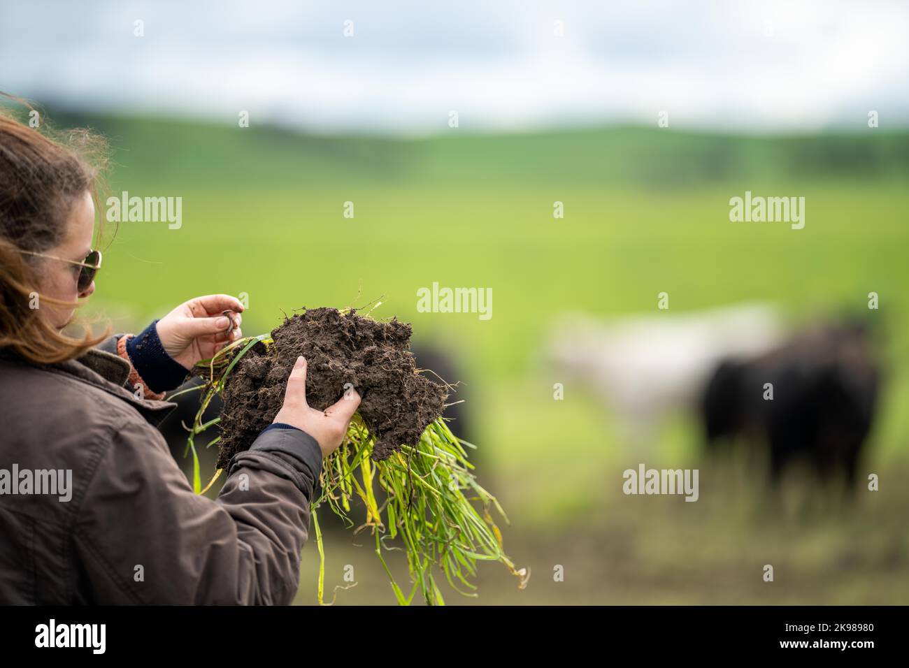 female farmer testing soil on a farm Stock Photo Alamy