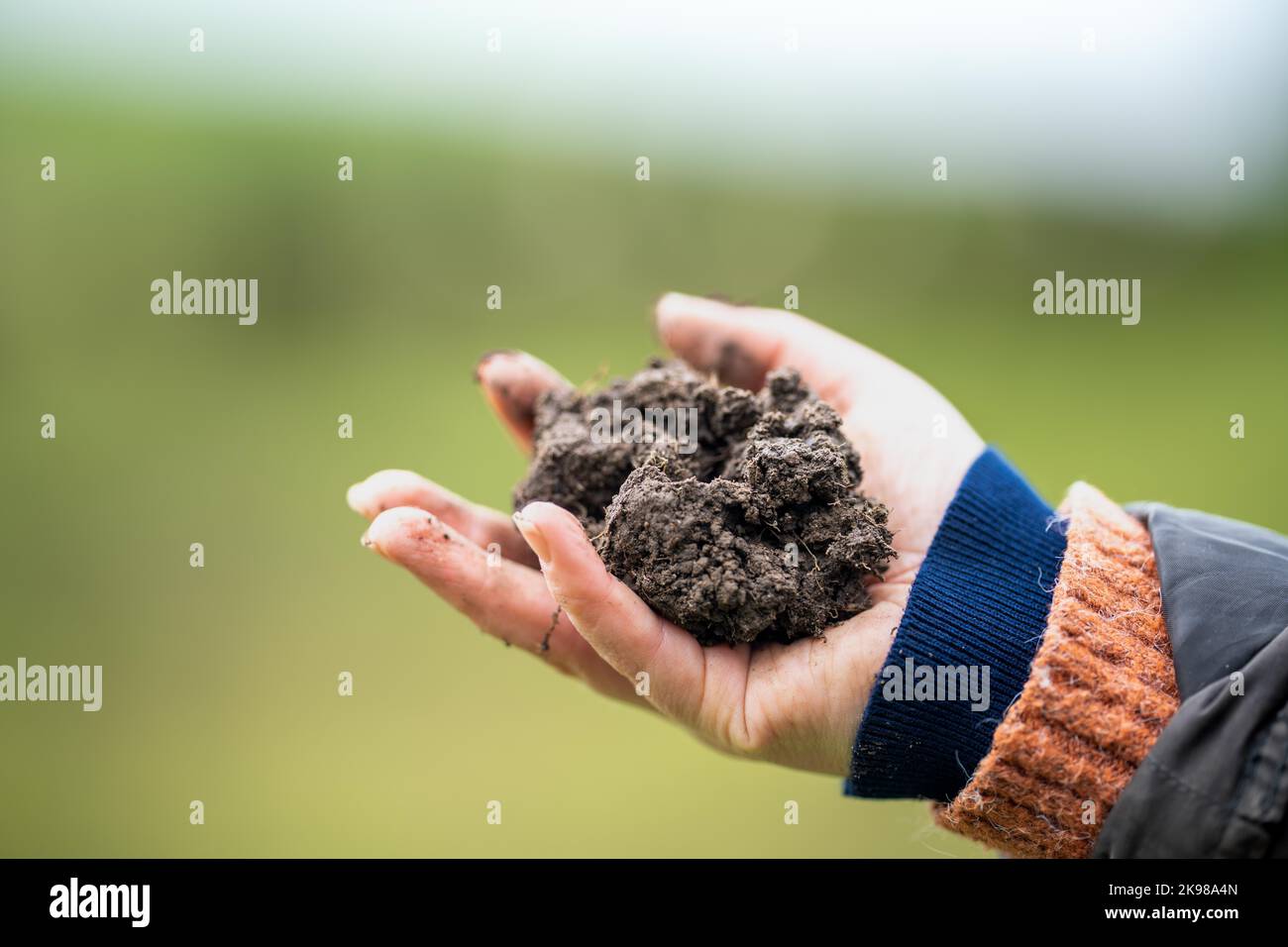 female farmer testing soil on a farm Stock Photo Alamy