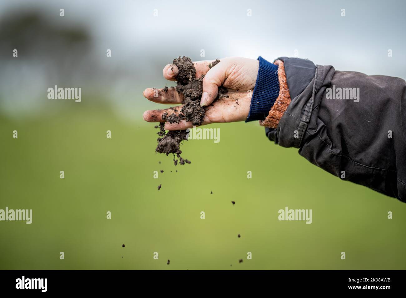 female farmer testing soil on a farm Stock Photo Alamy