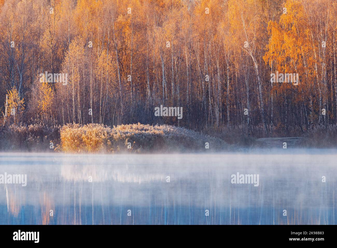 Fog above the lake at cold autumn morning Stock Photo - Alamy