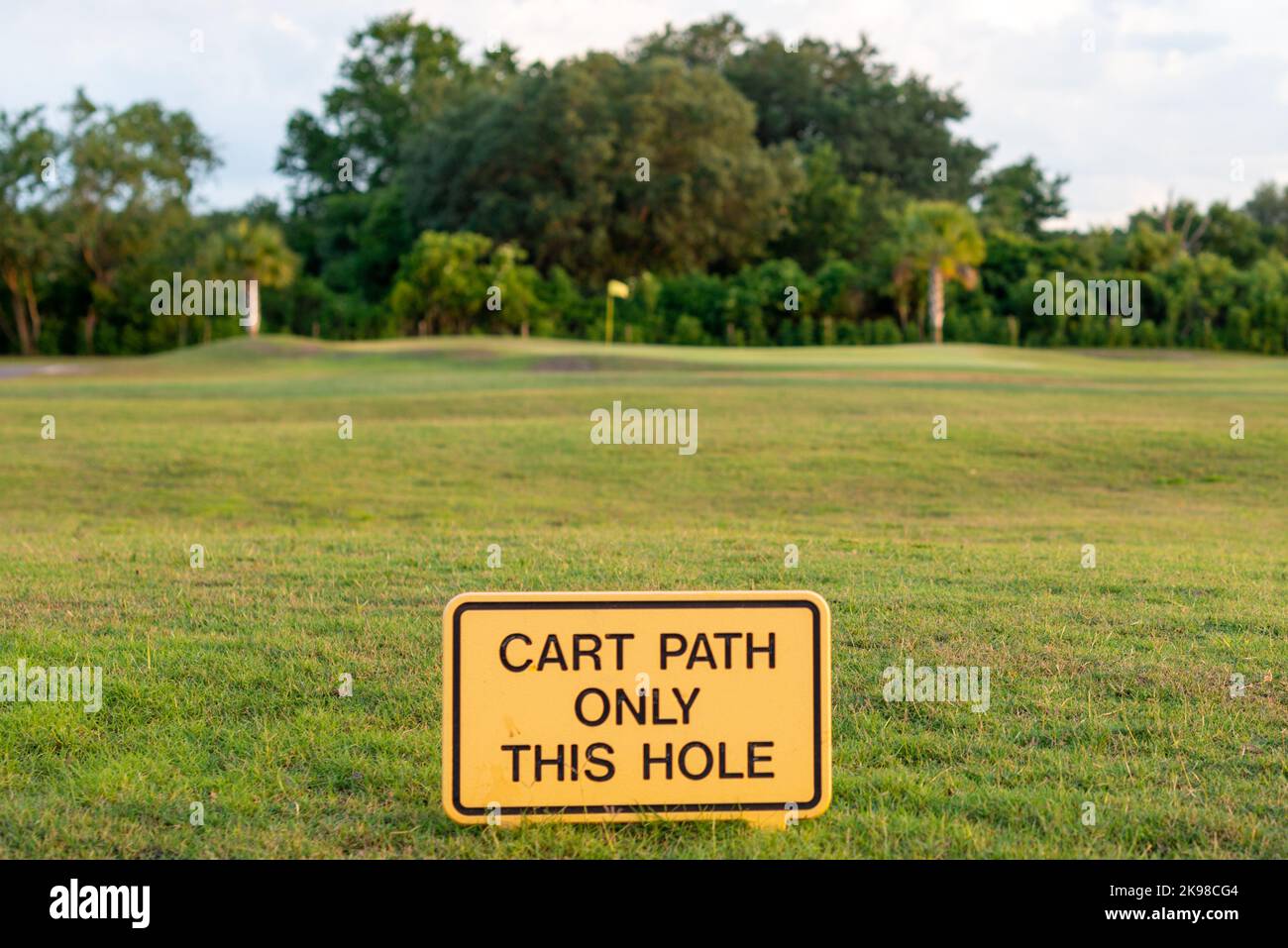 A bright yellow wooden sign with a cart path only this hole in black text. The message is on a golf green of lush grass.There's a flag and ball marker Stock Photo