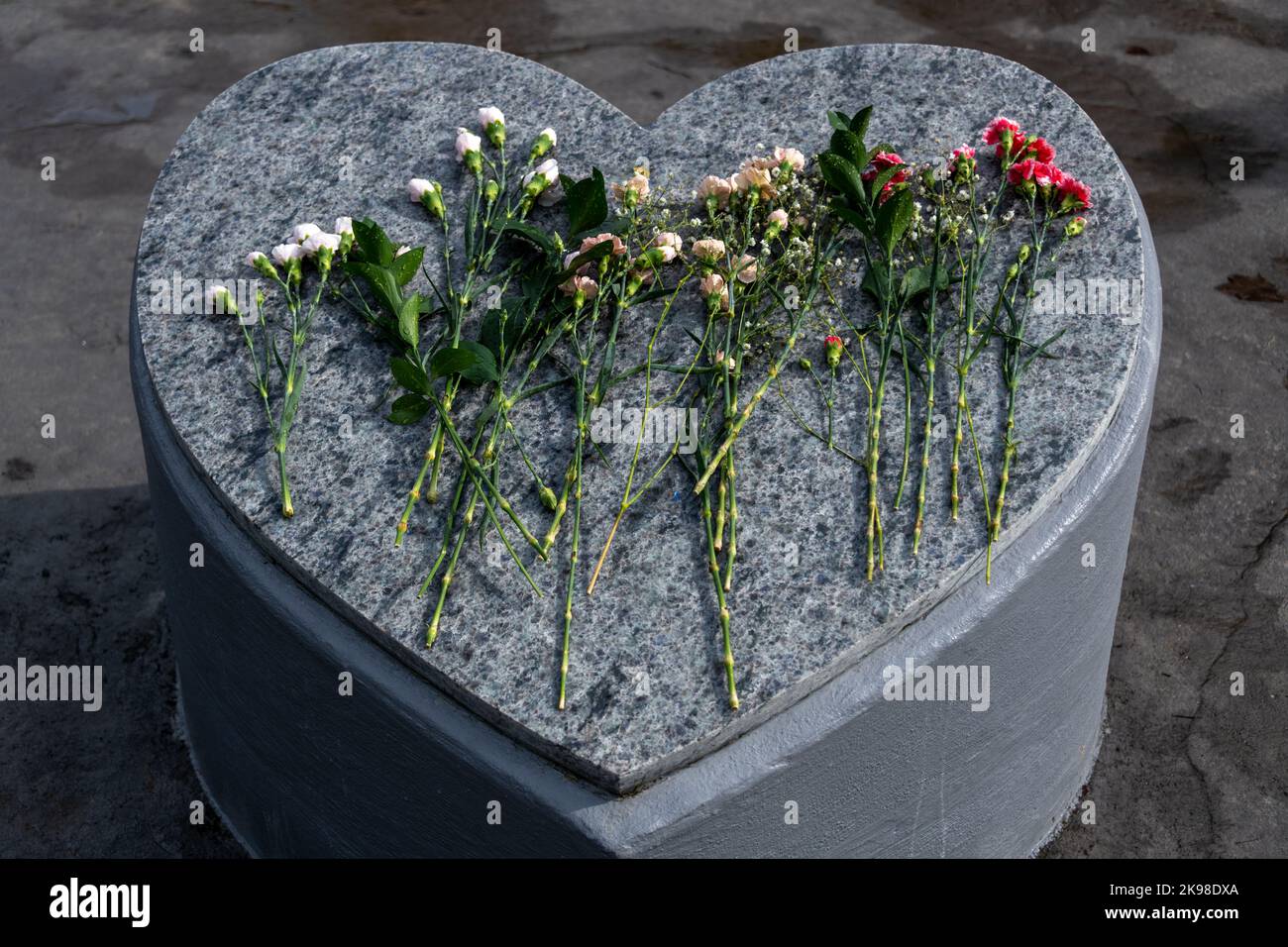 A large heart shaped grey granite blank headstone. The monument has small black flecks on it. The top and sides are smooth. There are multiple long st Stock Photo