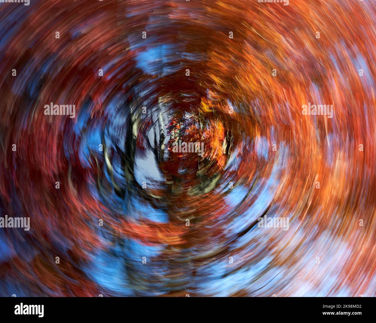 abstract images of movement in autumn gardens Stock Photo - Alamy