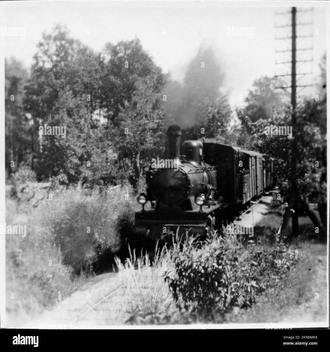 The State Railways, SJ L19P 3149 with wagons pass the Appel hill. Stock Photo