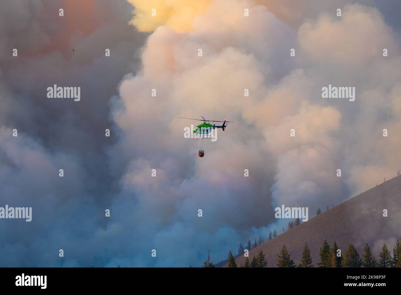 helicopter fighting the Clark wildfire near bald mountain in the Inyo national forest . California USA. 2016 Stock Photo