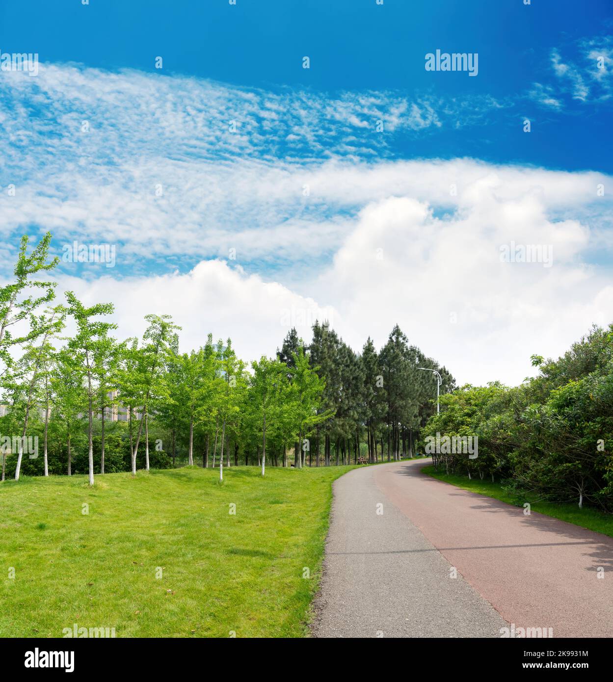 Walking path in forest. Walking path in woods Stock Photo - Alamy