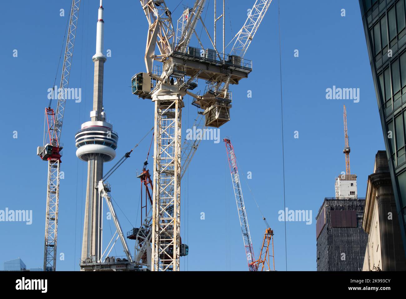 Numinous large construction cranes are seen in downtown Toronto on a blue sky day, the CN Tower in the background. Stock Photo