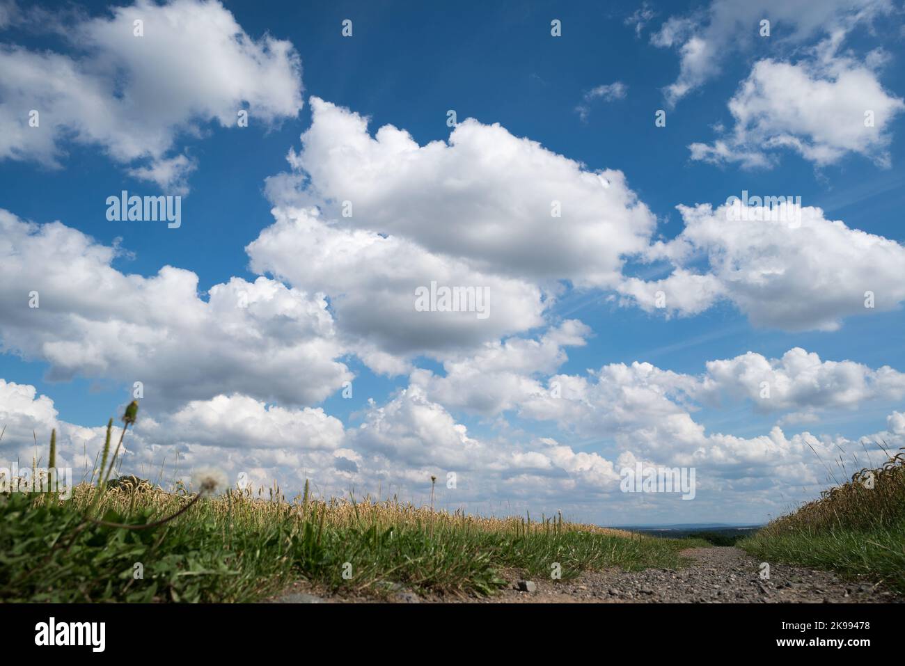 Country road from a low point of view Stock Photo