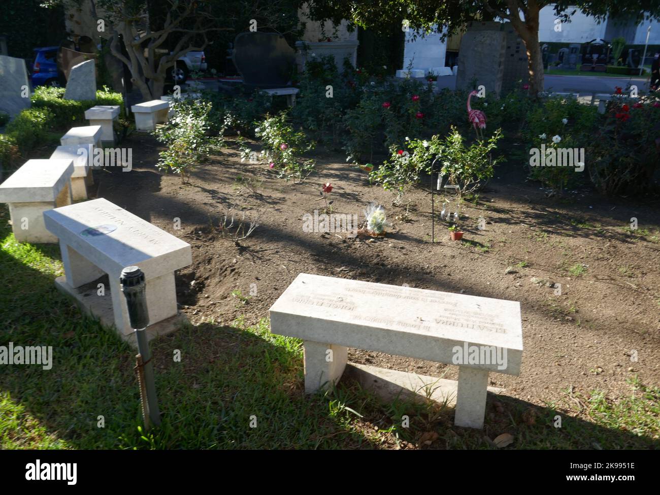 Los Angeles, California, USA 25th October 2022 A general view of atmosphere of Actress Coral Browne's Grave in The Rose Garden at Hollywood Forever Cemetery on October 25, 2022 in Los Angeles, California, USA. Photo by Barry King/Alamy Stock Photo Stock Photo