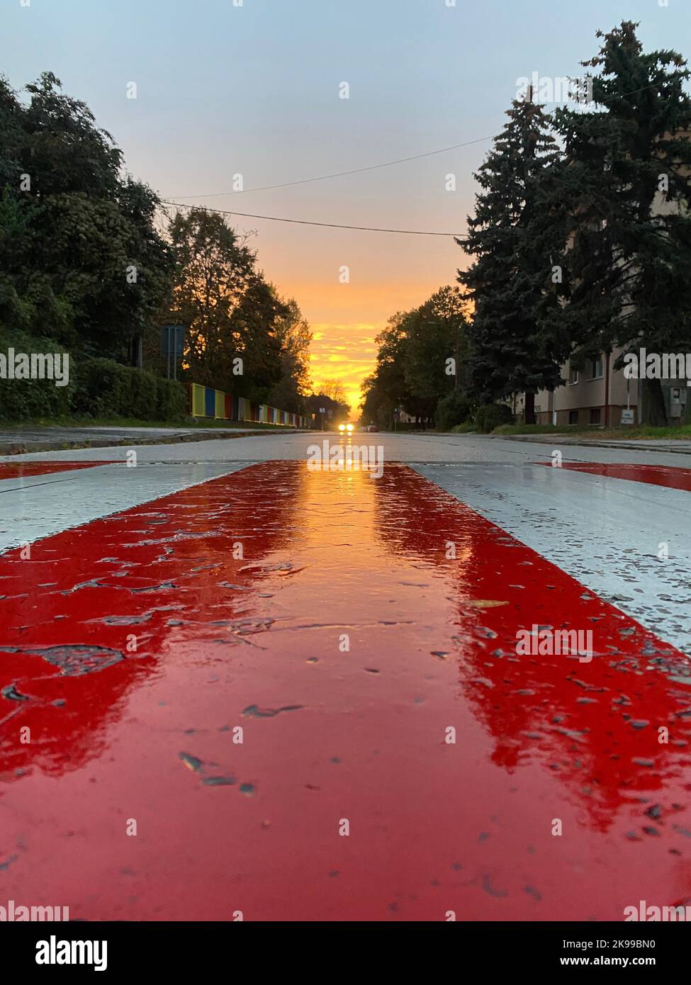 Town sunset with car lights through the road. Reflections on wet white red crosswalk after storm, Stock Photo