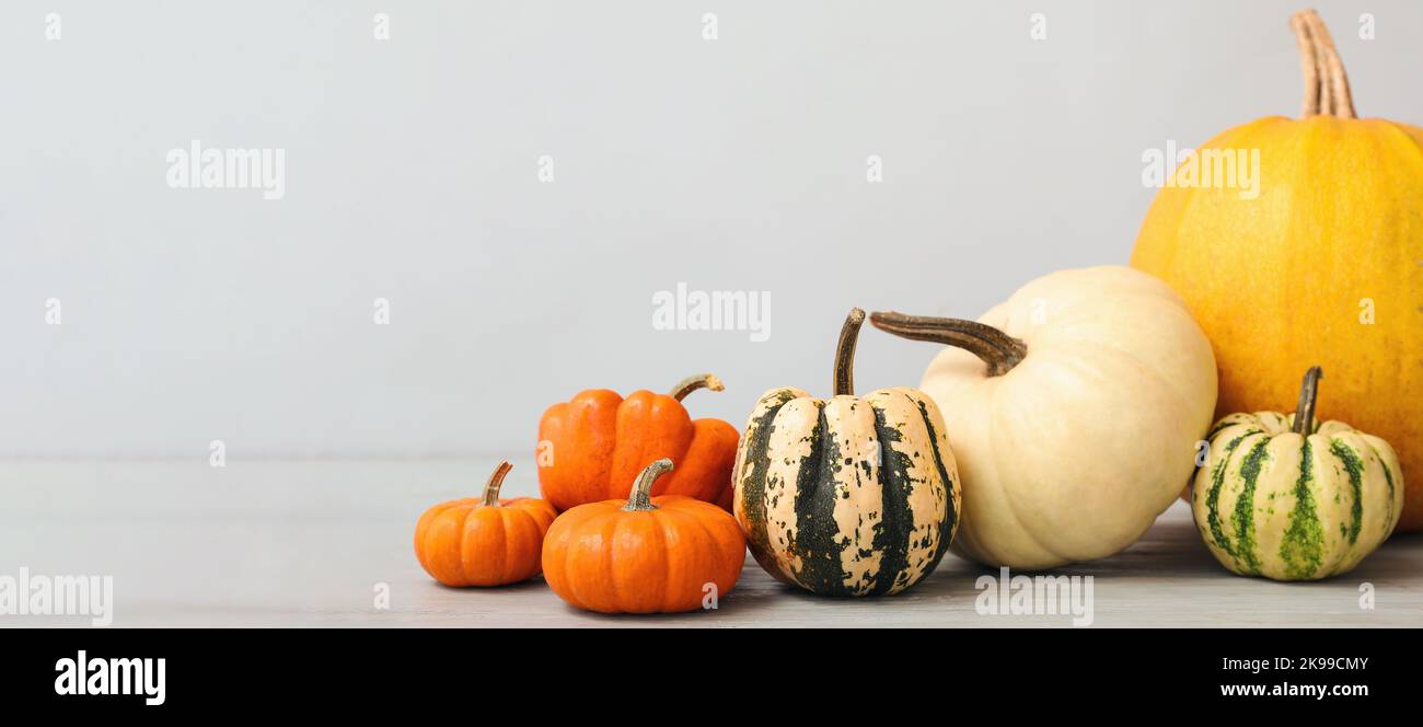 Different pumpkins on light background with space for text Stock Photo ...