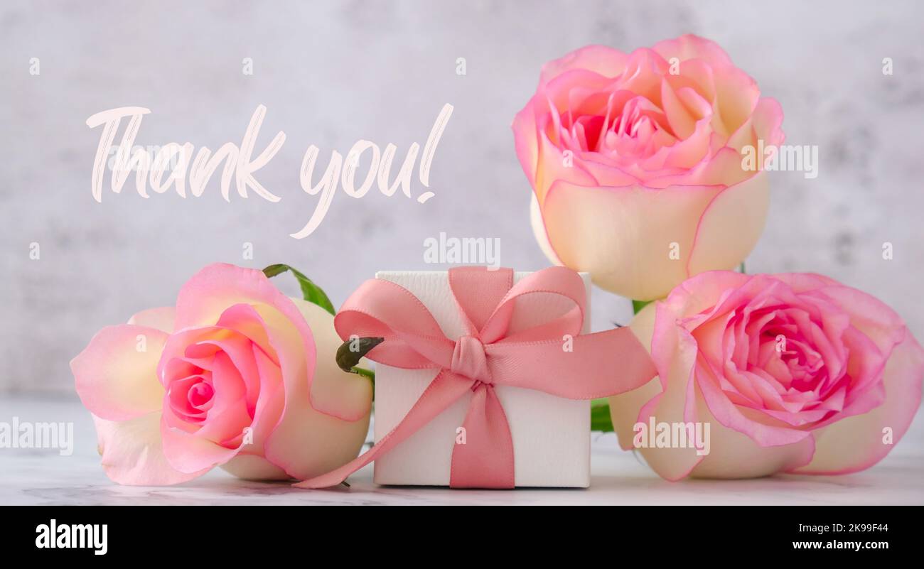 Gift box with tied ribbon bow pink roses. Greeting card background ...