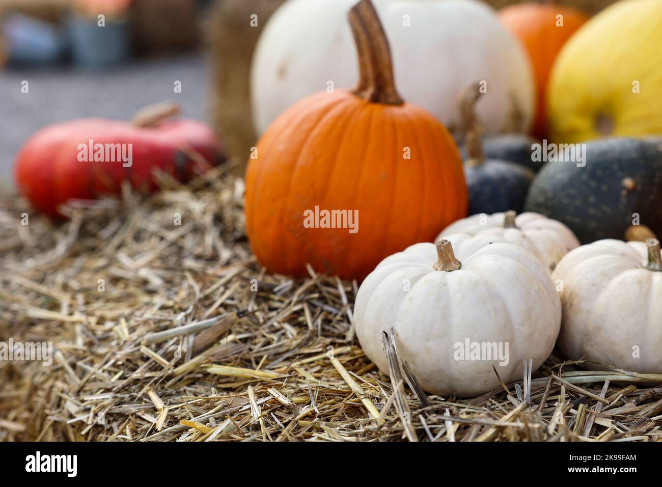 Fresh pumpkins on haystack at farm, closeup Stock Photo - Alamy
