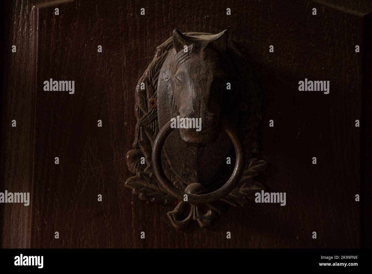 a horse with a ring on a brown door in a stable close-up as a handle Stock Photo