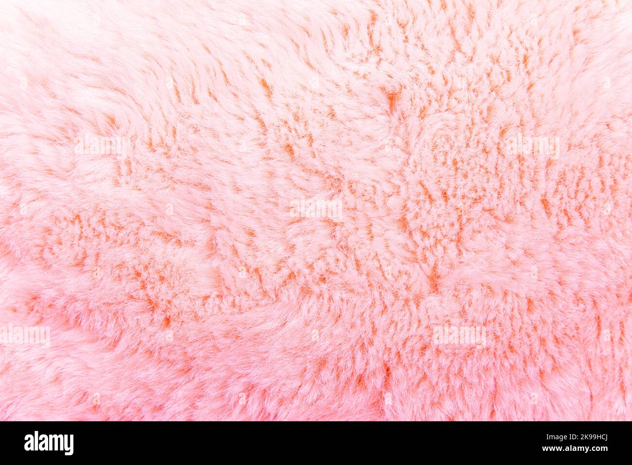 Pink fur texture top view. Pink sheepskin background. Fur pattern. Texture of pink shaggy fur. Wool texture. Sheep fur close up  Stock Photo