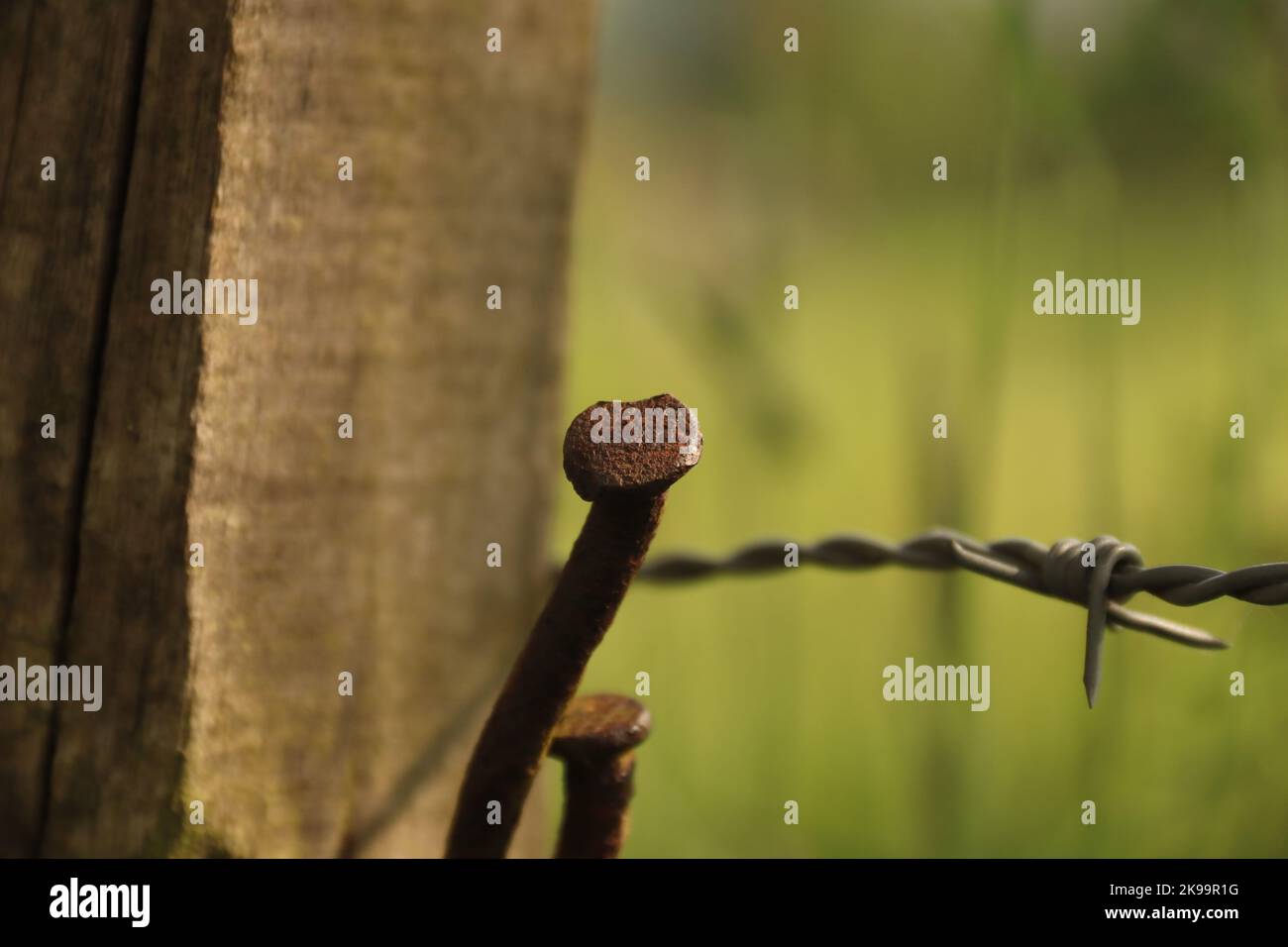 Fencing nail hires stock photography and images Alamy