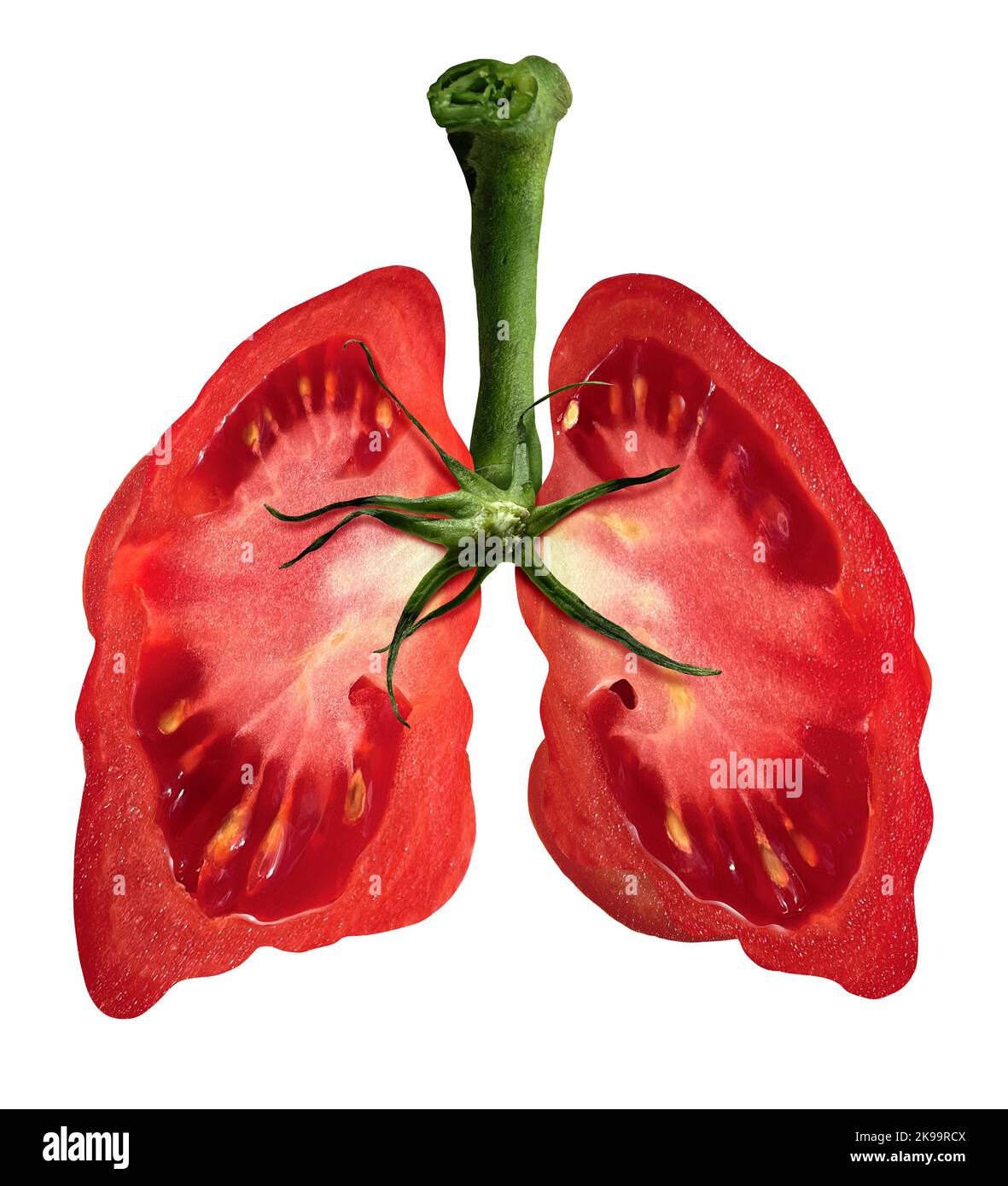 Tomatoes And Lung Health as lycopene and tomato juice dietary healthy food to fight pulmonary disease and COPD as a medicinal diet and nutrition. Stock Photo