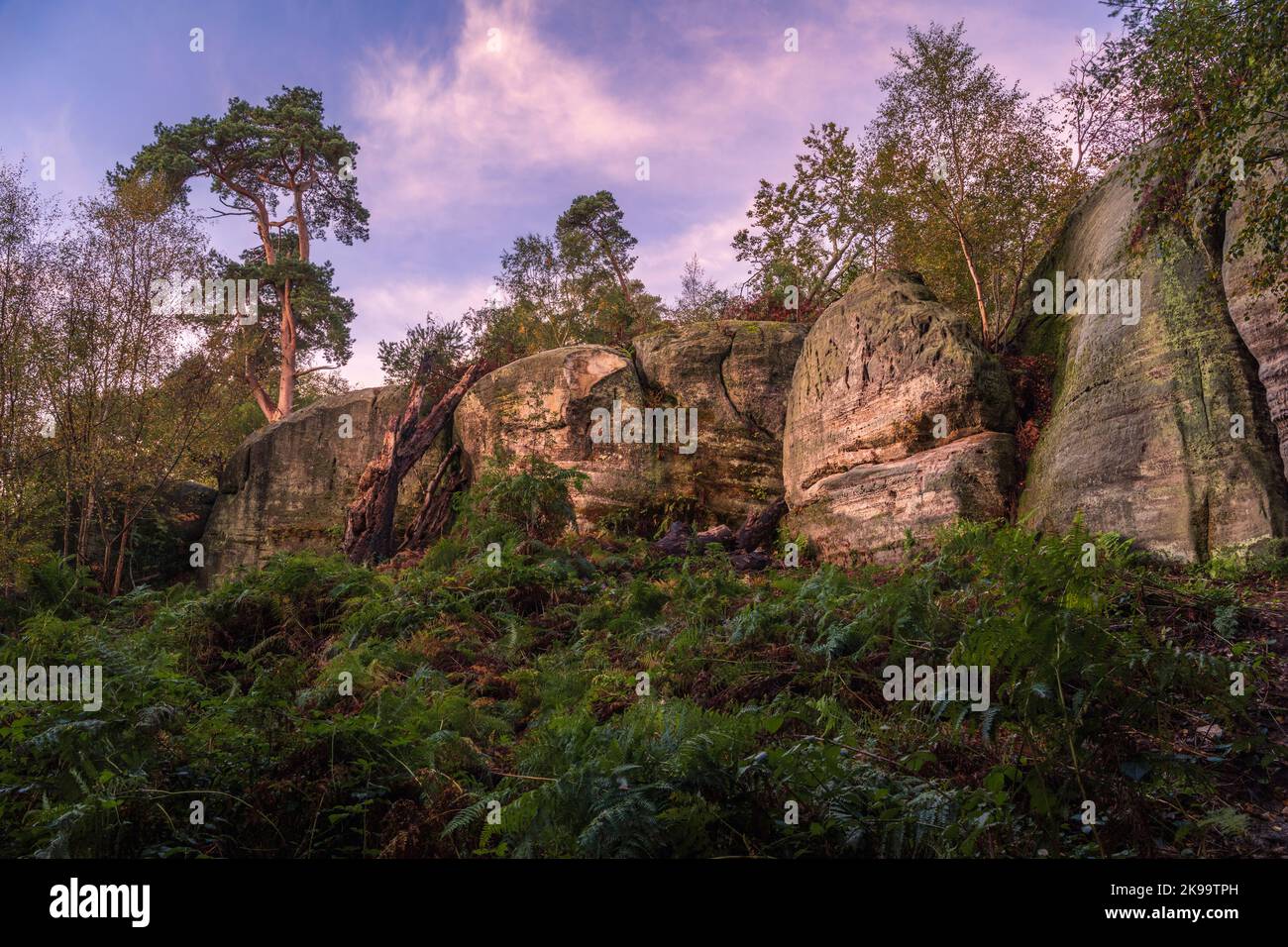 Eridge rocks nature reserve hi-res stock photography and images - Alamy