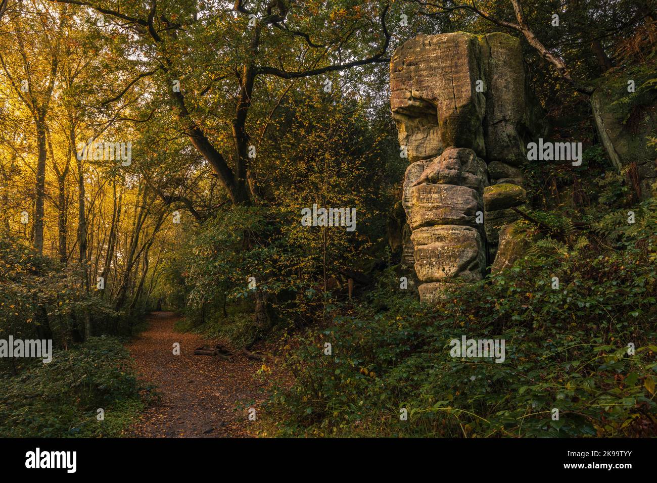 Autumn dawn at Eridge Rocks on the High Weald East Sussex south east England Stock Photo