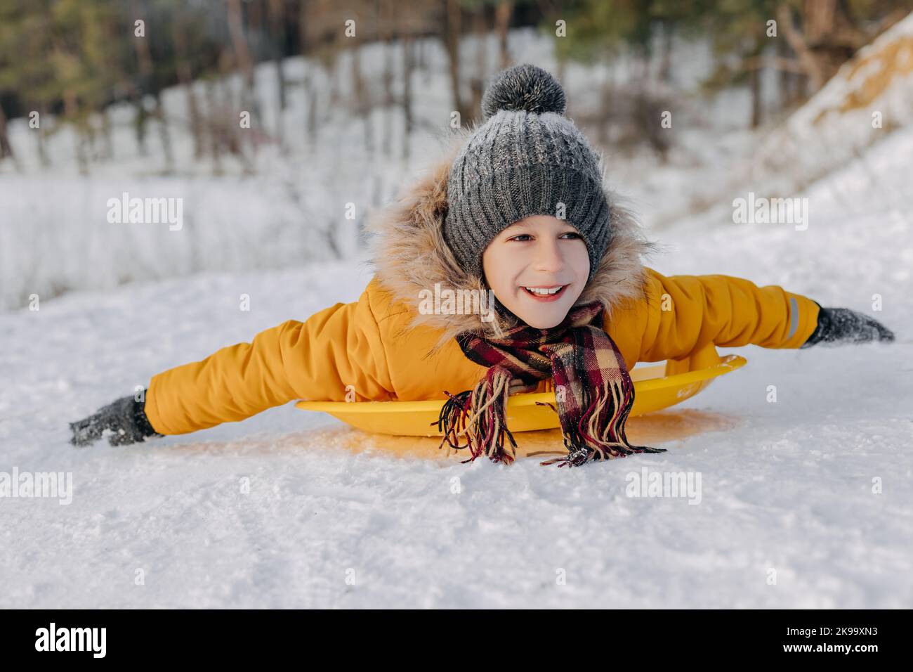 Happy kid ride laying on a plastic sled on the background of snowy forest. Boy having fun on christmas holiday. Concept of winter sports, active leisu Stock Photo