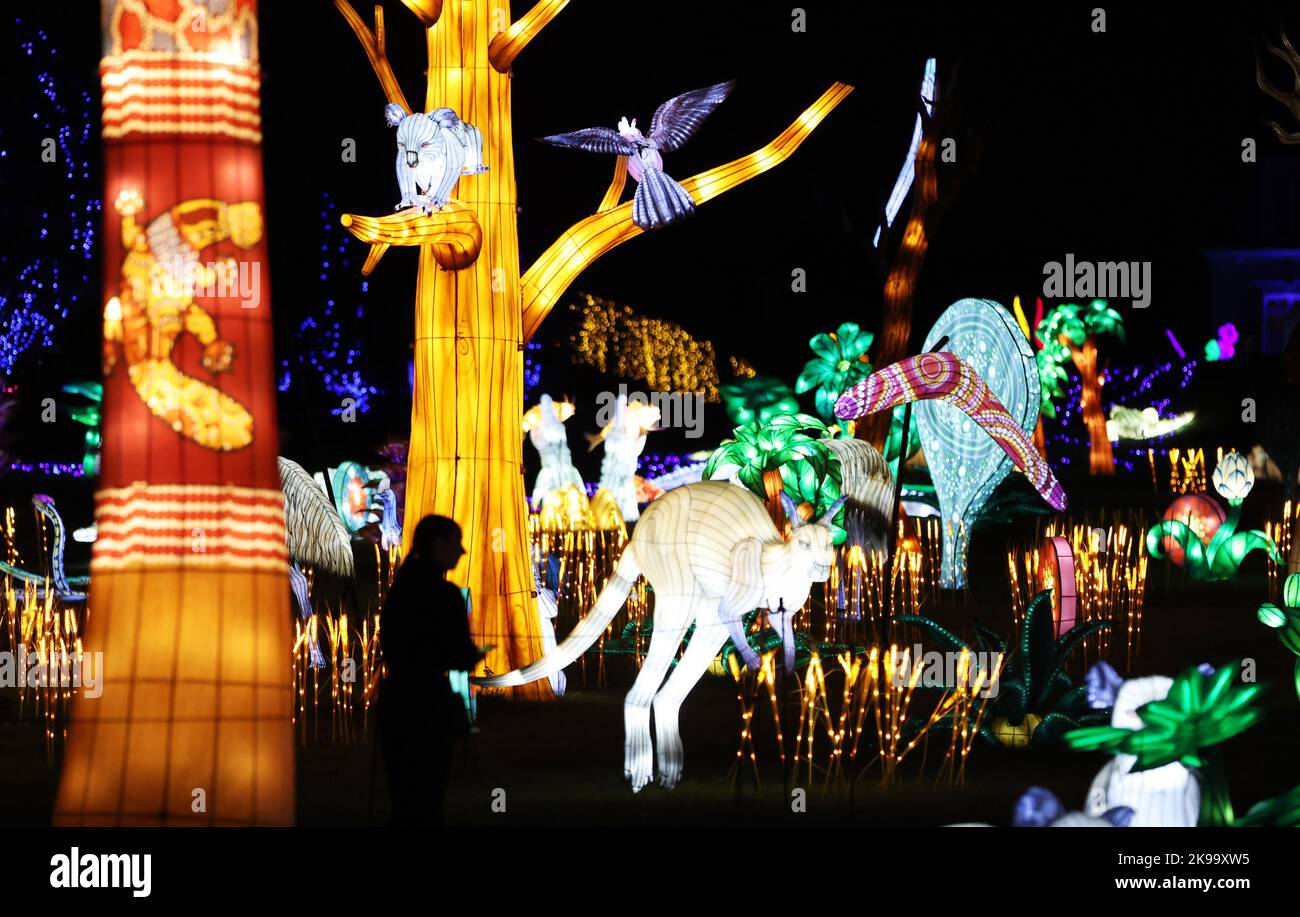 Paris, France. 26th Oct, 2022. A visitor views illuminated sculptures during a media tour of a light festival at Thoiry zoo near Paris, France, Oct. 26, 2022. The festival will kick off here on Sunday, displaying around 2,000 illuminated sculptures. Credit: Gao Jing/Xinhua/Alamy Live News Stock Photo