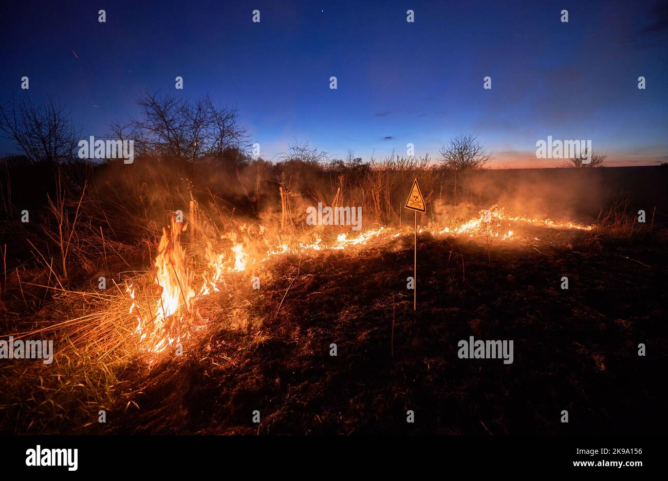 Burning dry grass and poison toxic sign at night. Triangle with skull and crossbones sign warning about poisonous substances and danger in field with fire. Ecology, hazard, natural disaster concept. Stock Photo