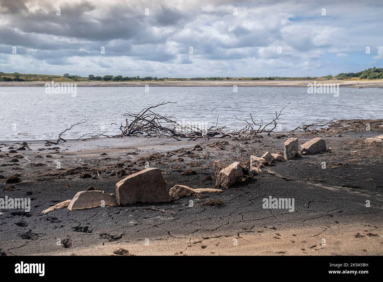 Drought conditions and receding water levels exposing the remains of an old wall and skeletal dead trees at Colliford Lake Reservoir on Bodmin Moor in Stock Photo