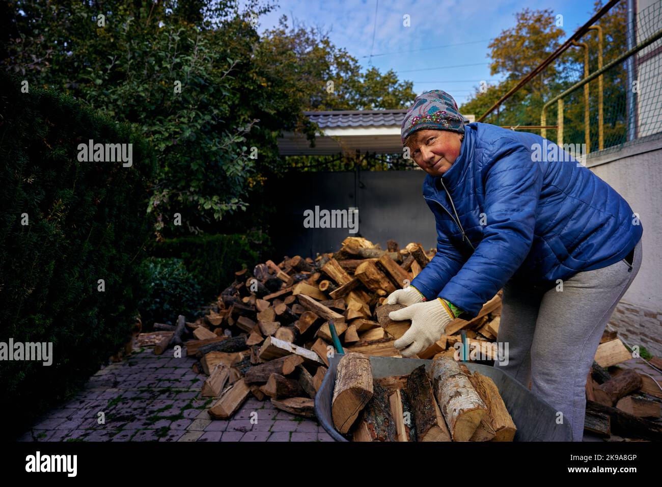 Mature pretty woman is loading firewood on a cart in Odessa Ukraine Stock Photo