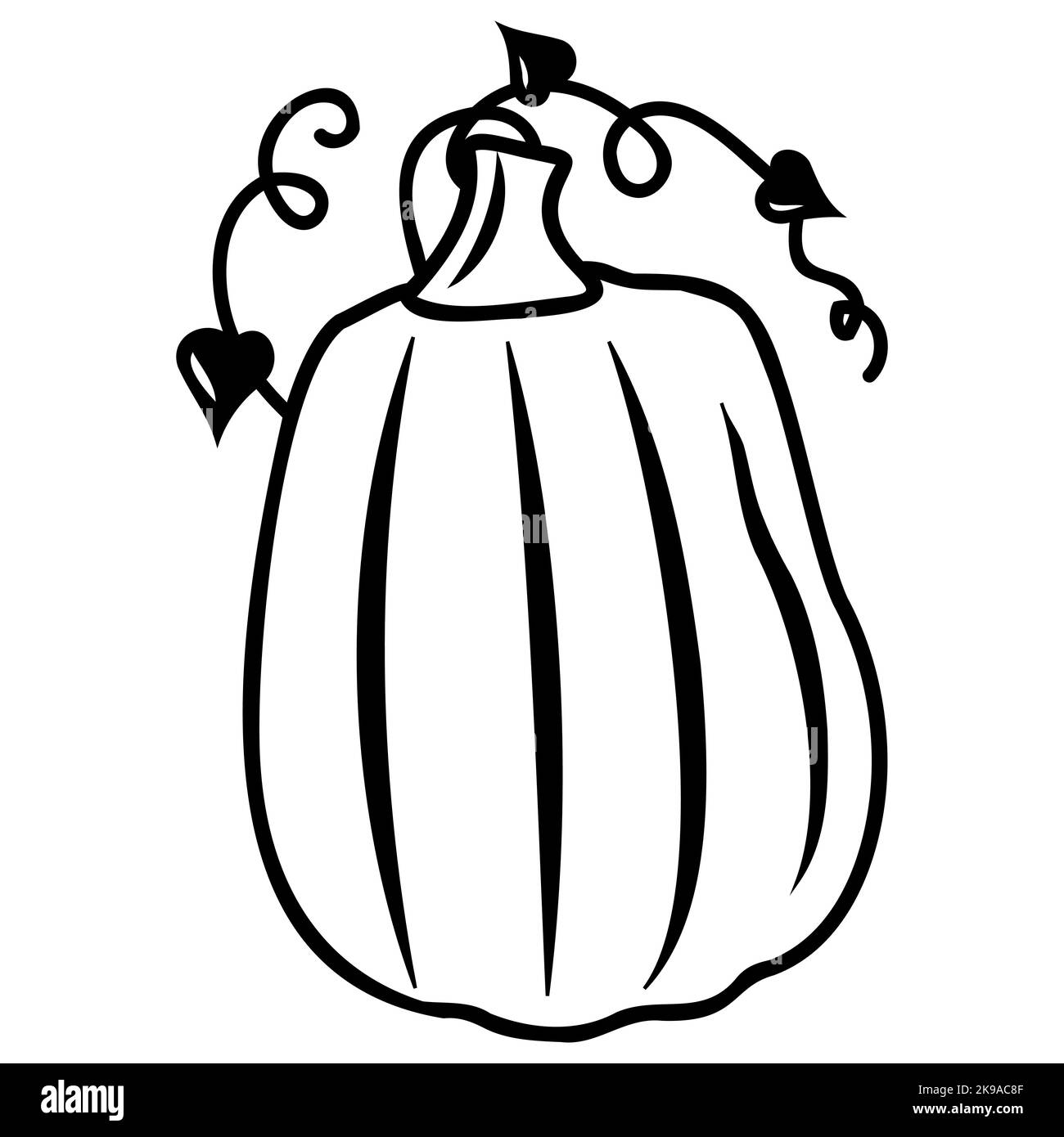 Autumn vegetable pumpkin, black outline, vector isolated illustration in doodle style. Stock Vector