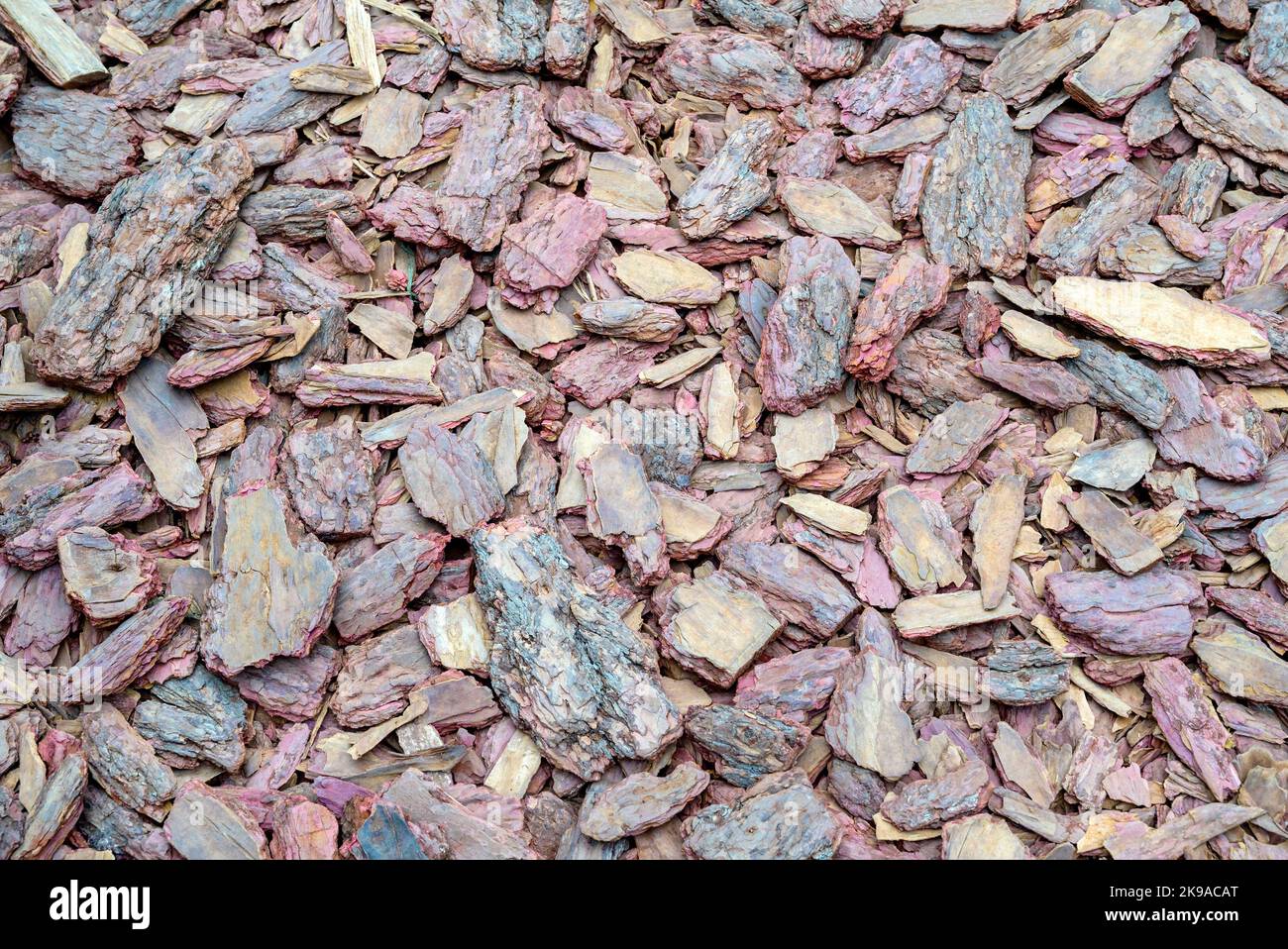 Shredded tree bark texture background. Stock Photo