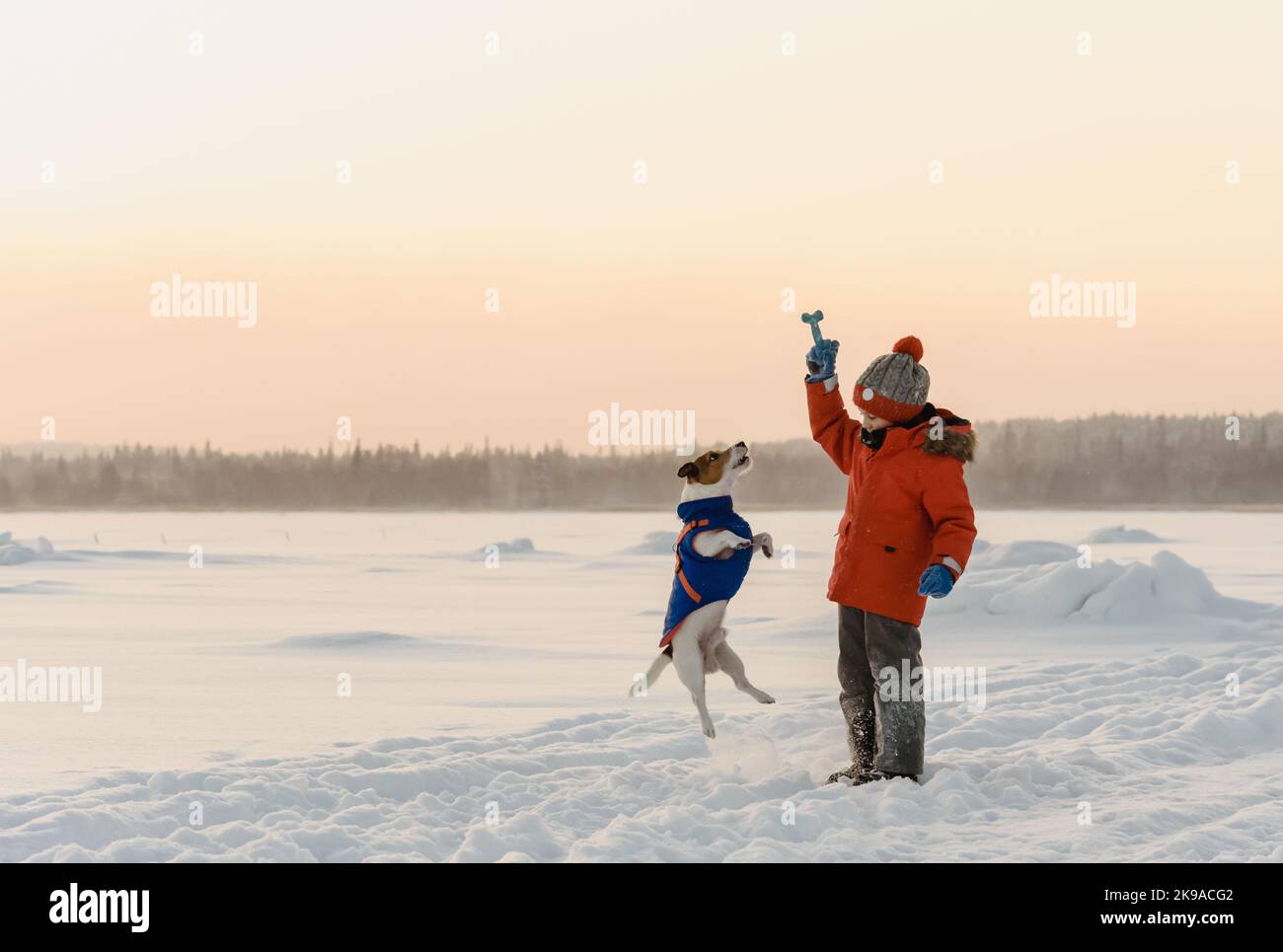 Kid in warm winter outfit playing in snow with dog on beautiful brumal day Stock Photo