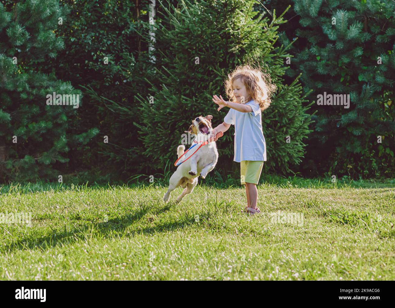 Children play badminton at backyard lawn and naughty family pet dog impedes game Stock Photo