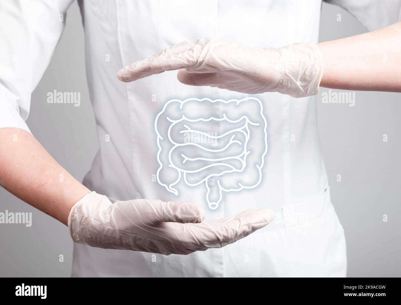 Intestine, colon, bowel in doctor hands. Digestive and gastrointestinal diseases concept. Gastroenterology and healthy microbiota. Guts, constipation microflora care. High quality photo Stock Photo