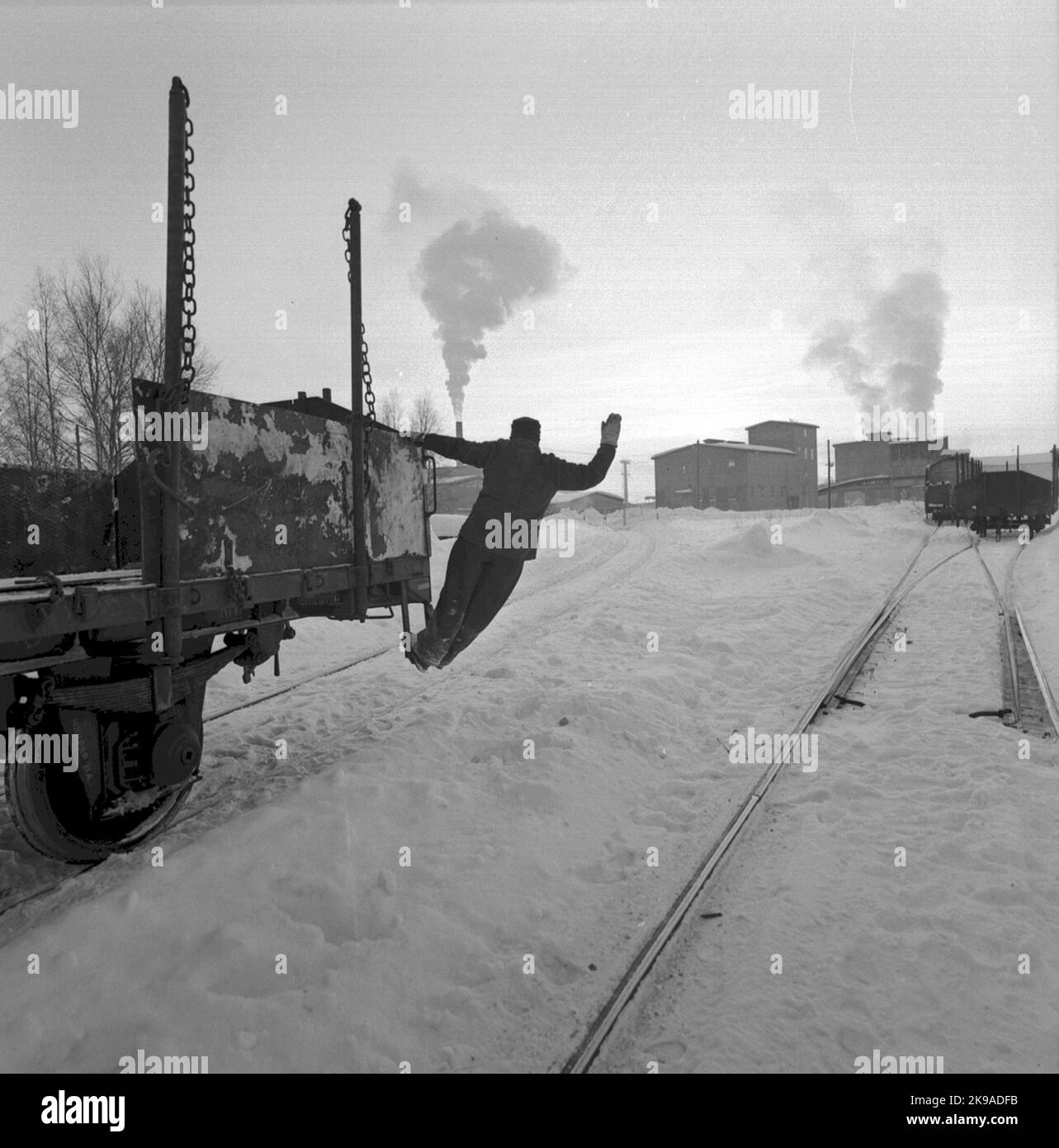 AB State Forest Industries, Assi, Piteå Stock Photo Alamy