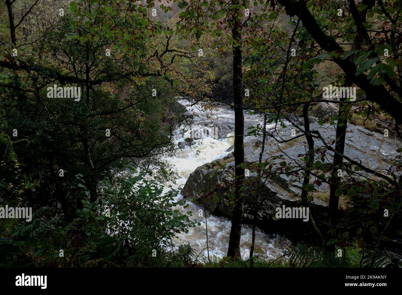 Small scottish highland river after a heavy rainfall Stock Photo Alamy