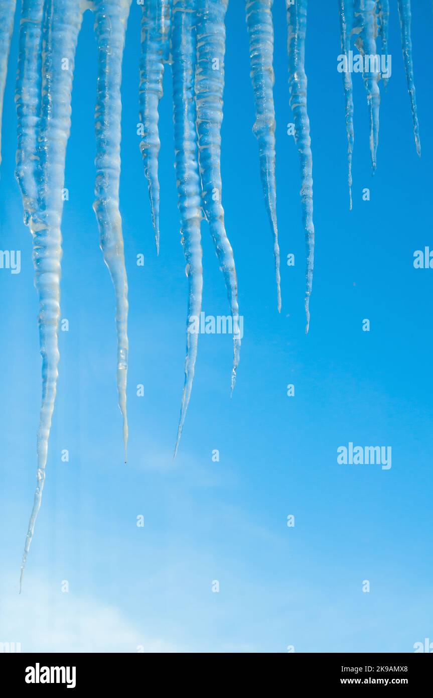 Winter landscape with long frozen icicles on the roof on the background of the blue sky, natural long icicles, winter nature background Stock Photo